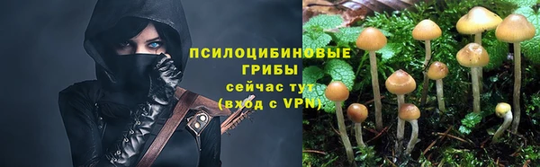а пвп мука Бородино