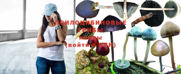 ПСИЛОЦИБИНОВЫЕ ГРИБЫ Богородск