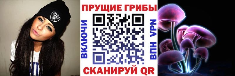 Псилоцибиновые грибы GOLDEN TEACHER  где купить наркоту  Новотитаровская 